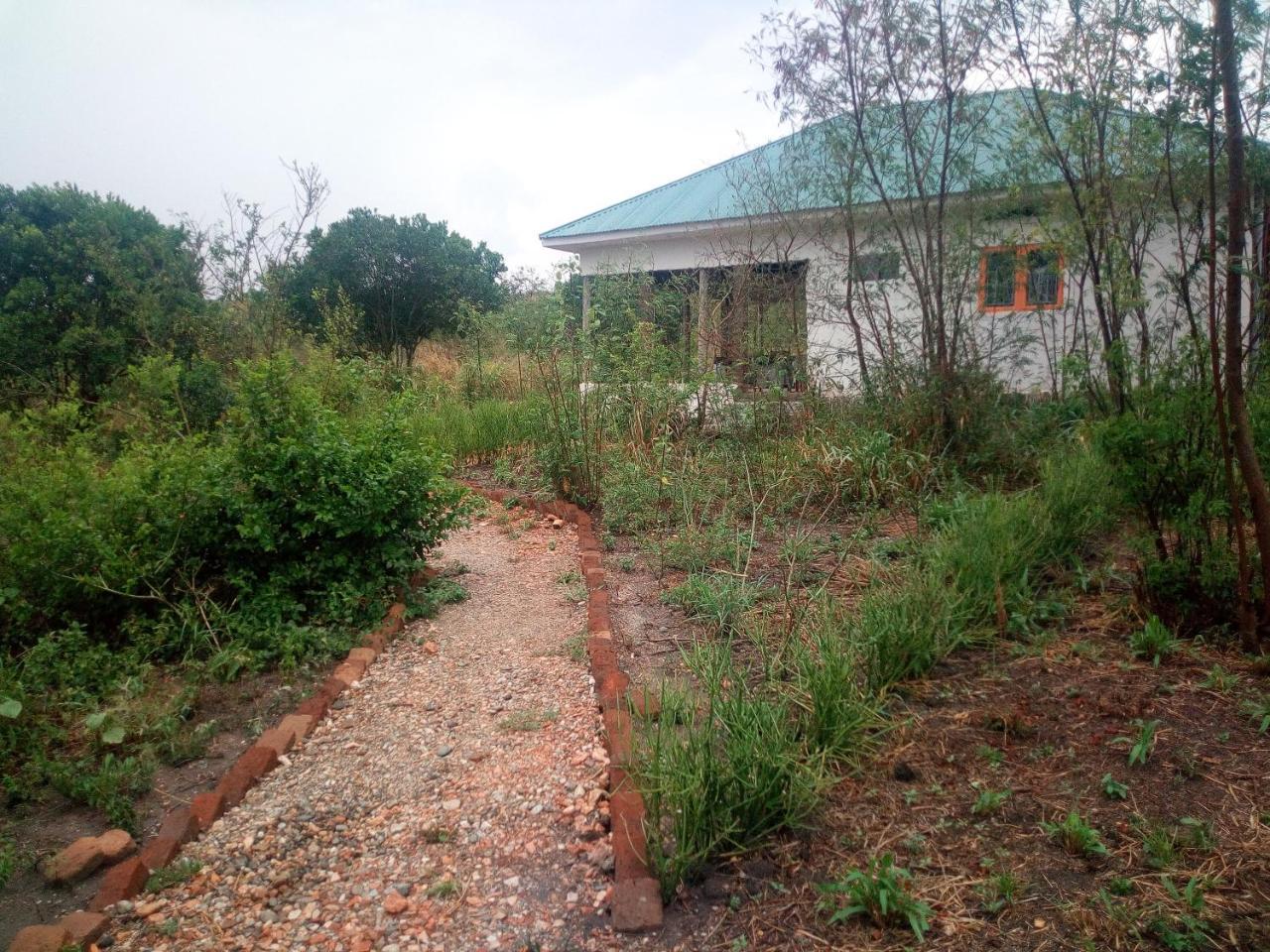 The Elephant Home Katunguru Exterior foto